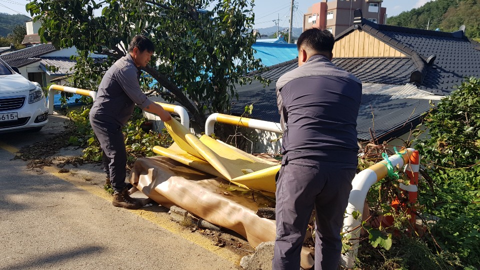 원덕면 대풍 피해 농가 복구 지원 봉사활동 사진